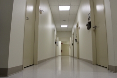 Laboratory Hallway